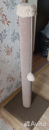 Когтеточка