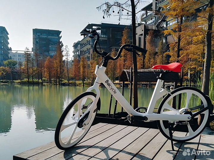 Велосипед фирмы Baicycle