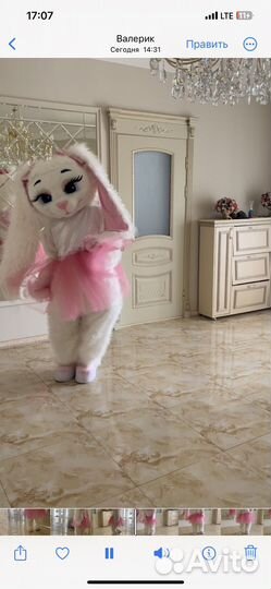 Мишки Teddi