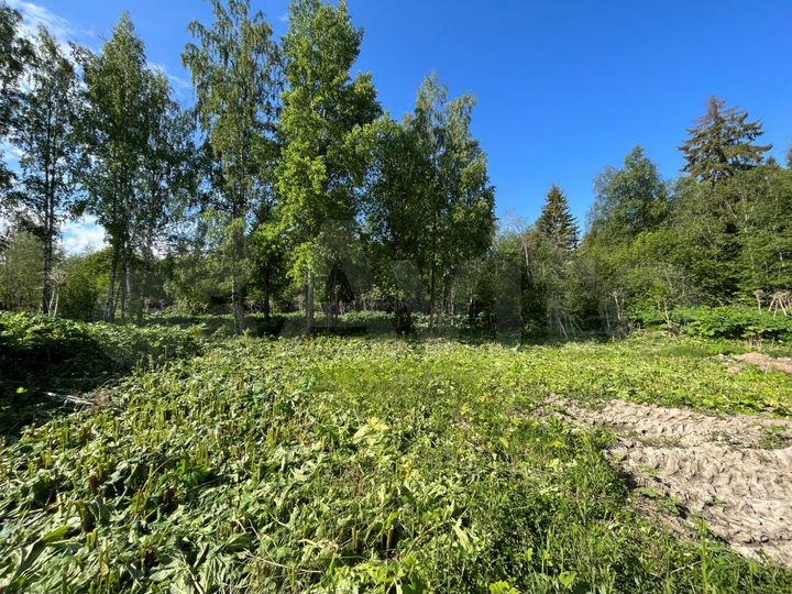 Участок 15,7 сот. (ИЖС)