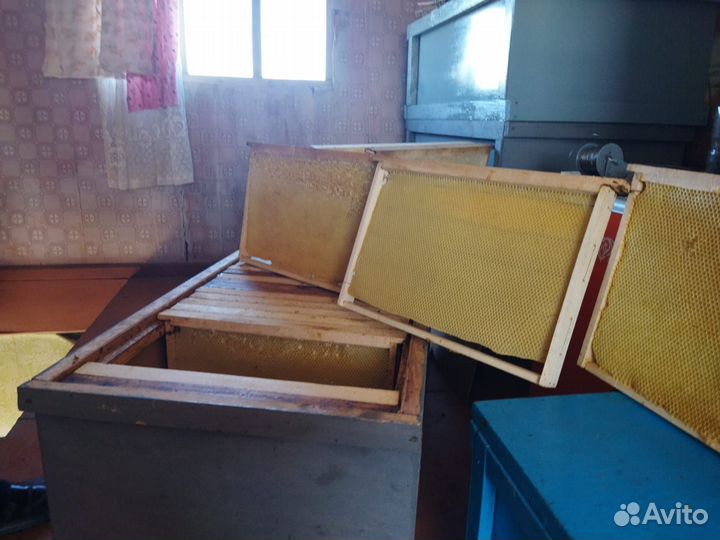 Рамки для ульев сушь