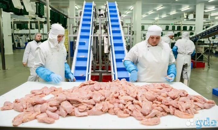 Вахтовая работа на птицефабрике, гибкий график