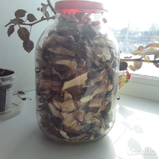 Грибы белые сушеные