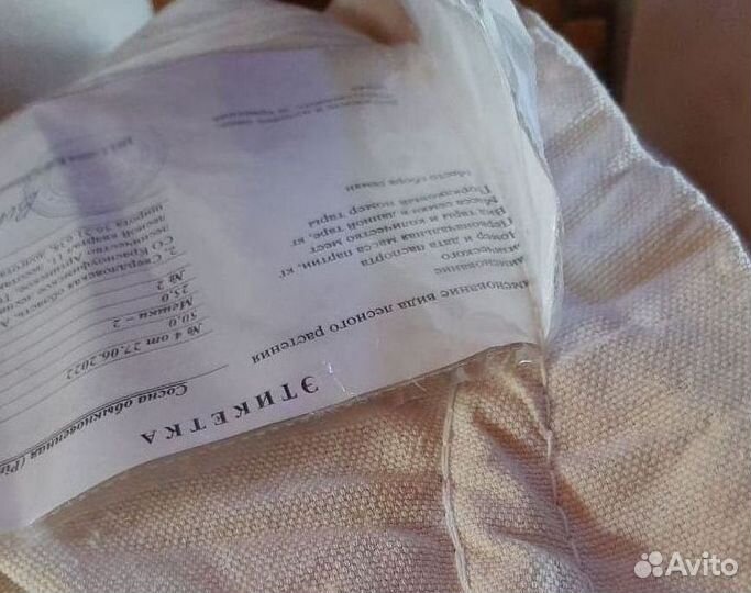 Семена сосны обыкновенной