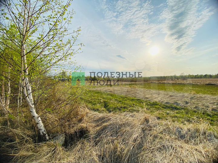 Участок 20 сот. (СНТ, ДНП)
