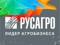 Тракторист на вахту в Приморье/проезд+питание+прож