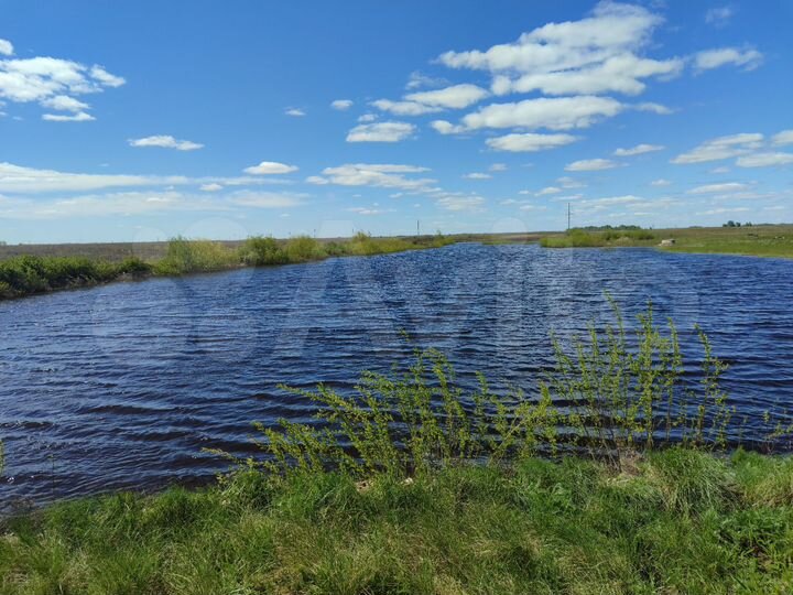 Участок 15 га (СНТ, ДНП)