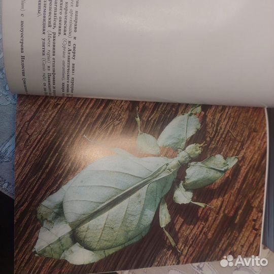 Книги. Иллюстрированная энциклопедия