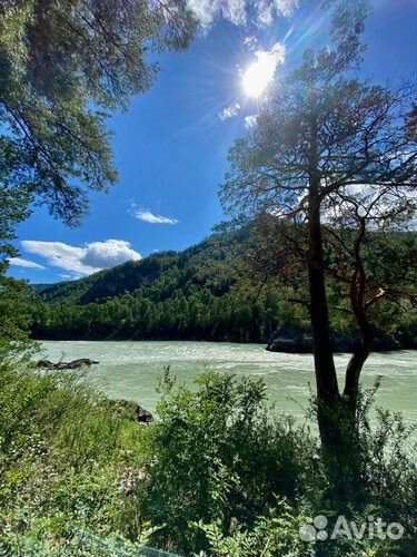 Авторский тур на Алтай