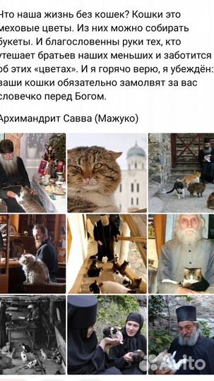 Добрым людям в добрые руки