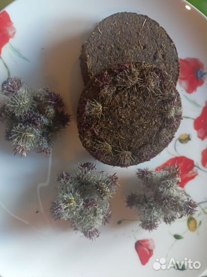 Чай прессованный с клевером, с репейником