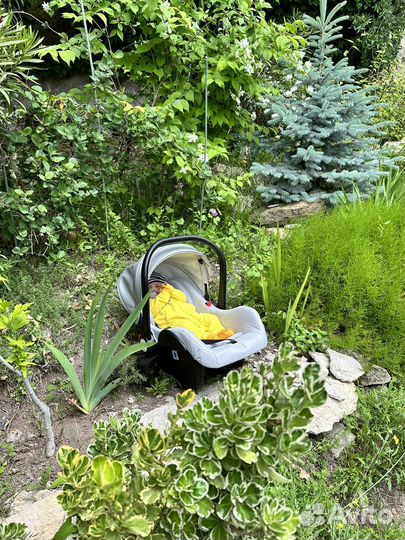 Коляска luxmom 3 в 1