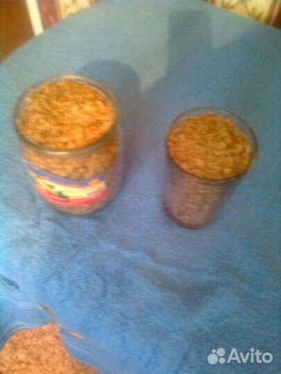 Продам семена укропа