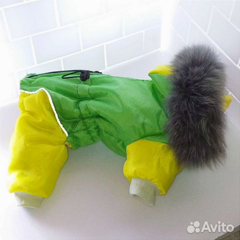 Шью комбинезоны для маленьких собачек