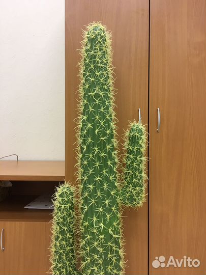 Кактус искусственный Новый