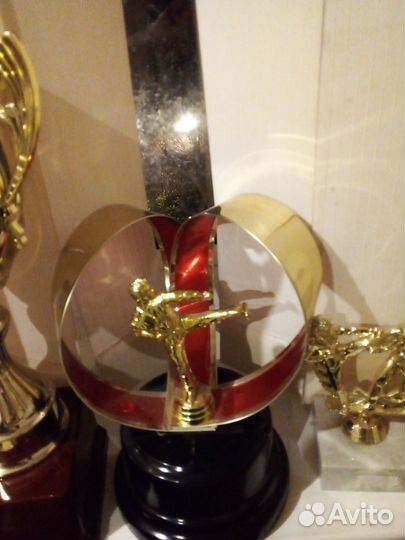 Кубки наградные. Единоборства. Новые