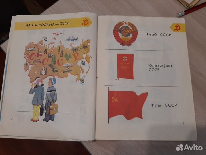 Картинный словарь русского языка