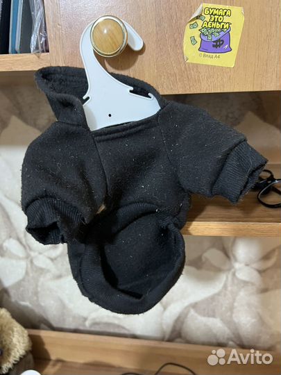 Одежду для собак