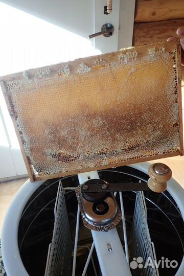 Мёд натуральный, зрелый 3л (1 банка в наличии)