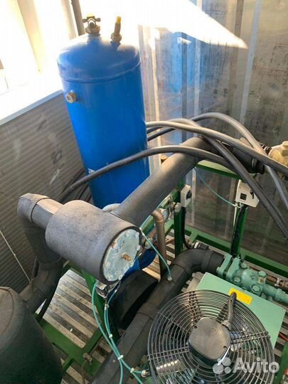 Аренда камеры шоковой зморозки