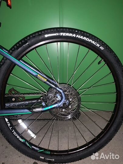 Gt avalanche elite