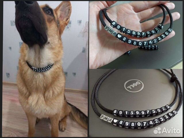 Адресник-шнурок для собак