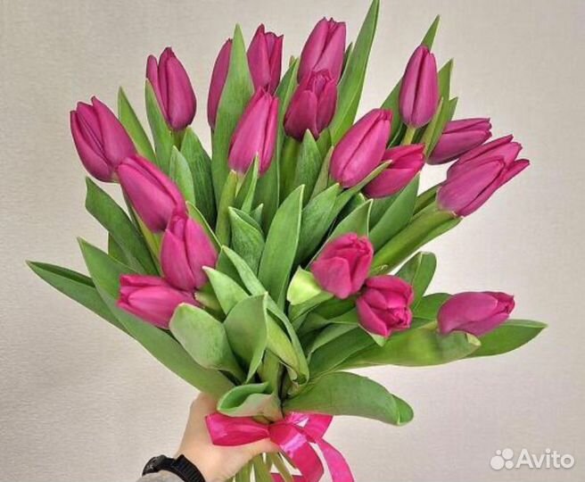 Тюльпаны Краснодар 70см +