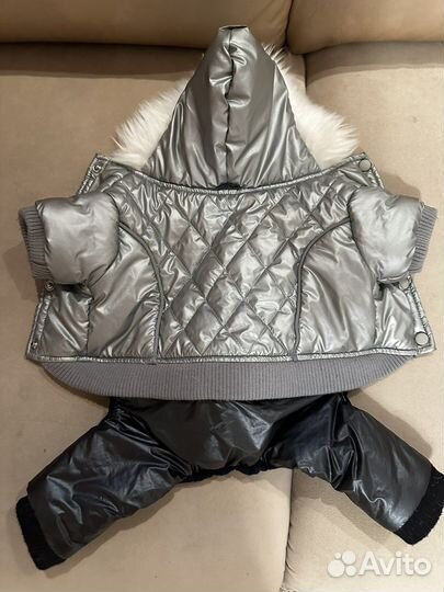 Одежда для собак