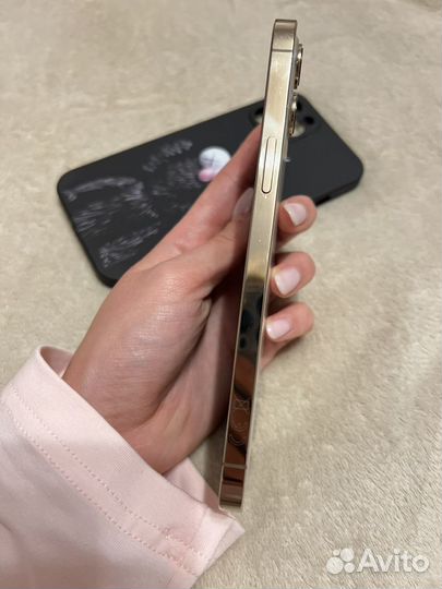 iPhone 12 Pro Max, 512 ГБ