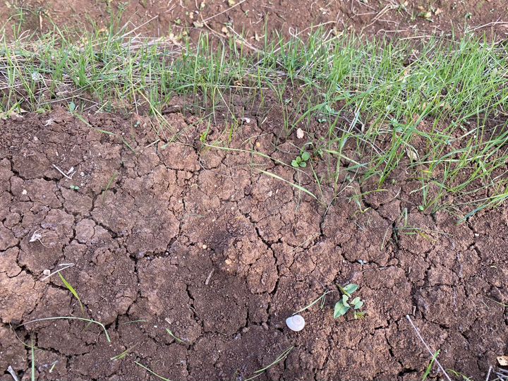 Участок 5,4 га (СНТ, ДНП)