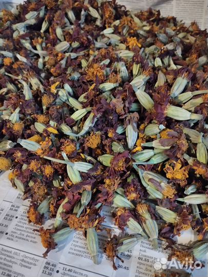 Бархатцы сушеные