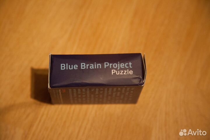 Мозаика Blue brain project в виде участка моторной