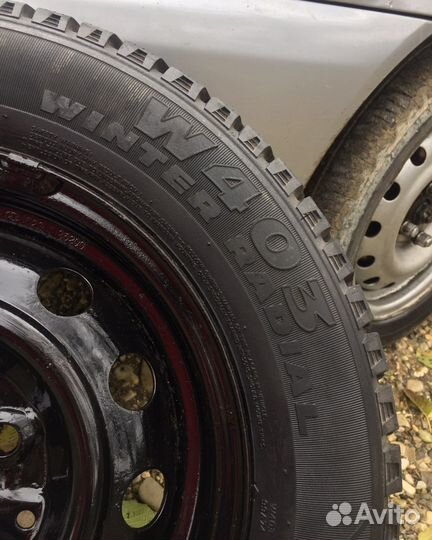 Aurora Winter Radial W403 175/70 R13
