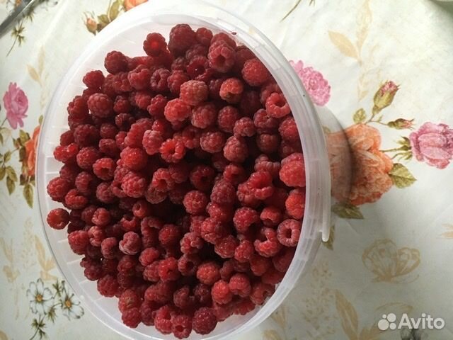 Малина лесная