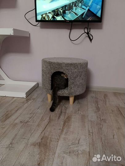 Домик для кошек и маленьких собак