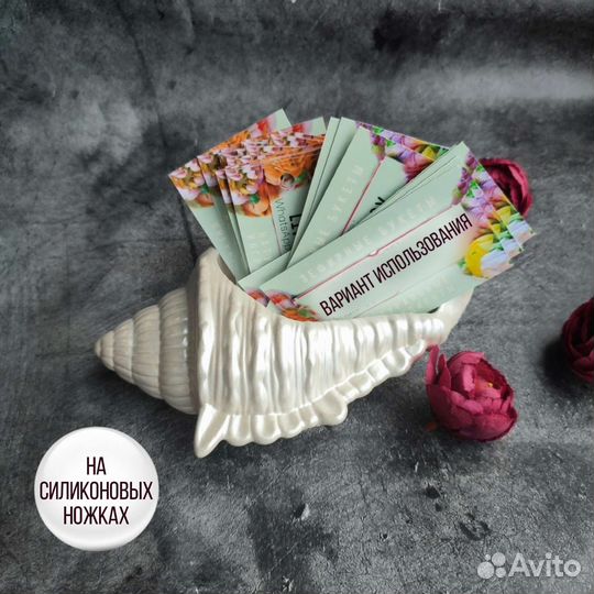 Ракушка декоративная