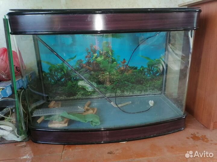 Аквариум