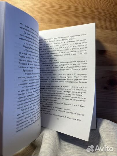 Книга в поисках аляски