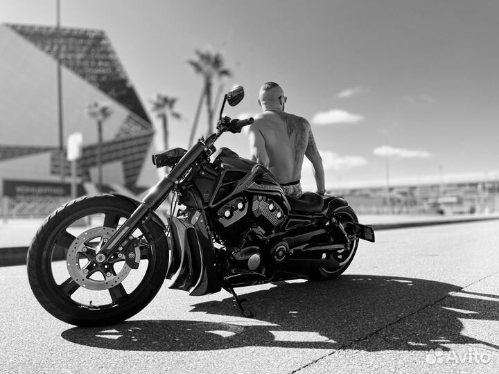 Harley Davidson vrscdx N