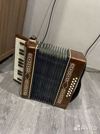 Аккордеон