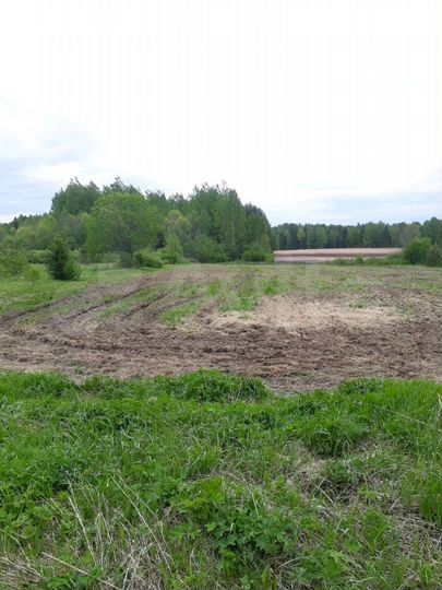 Участок 35 сот. (ИЖС)