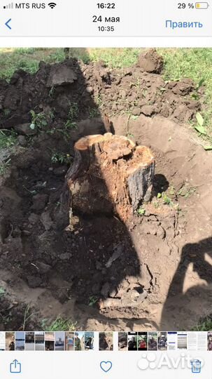 Вспашка мотоблоком,опрыскивание деревьев,спил