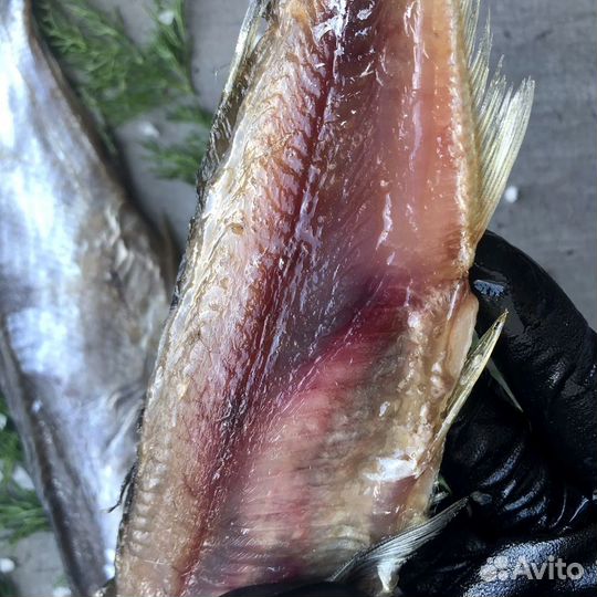 Вяленая рыба отборная свежий улов