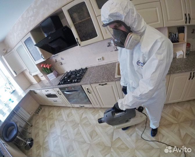 Дезинфекция