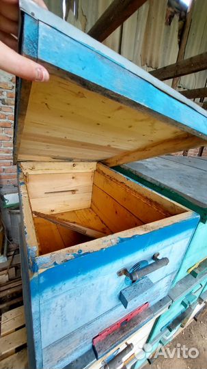 Пчелы и улья