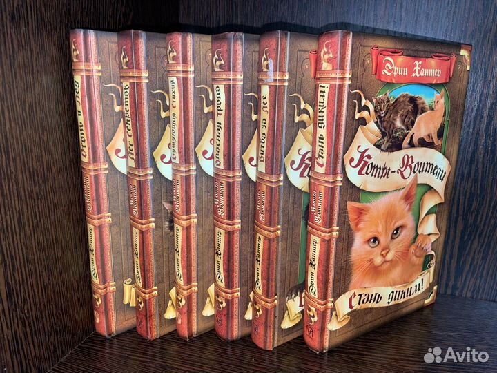 Коты-воители 1 цикл