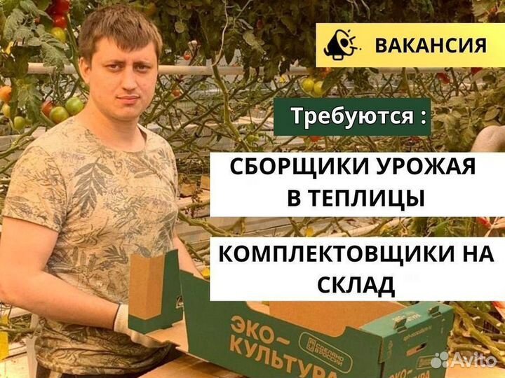 Комплектовщики на склад