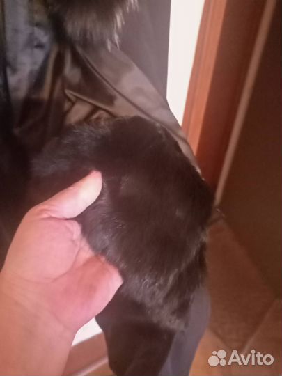 Женское пальто 2 в 1 р. 58