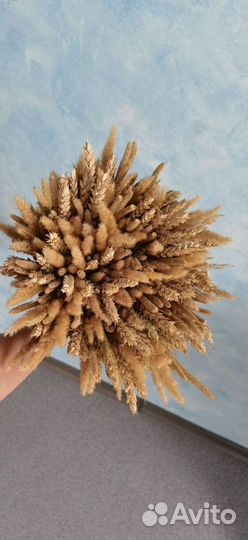Букет из колосьев пшеницы сухоцветы