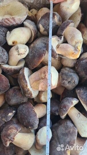 Белый гриб замороженный